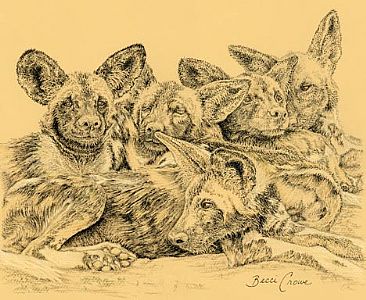 Sleep Heap - African Painted Dogs by Becci Crowe