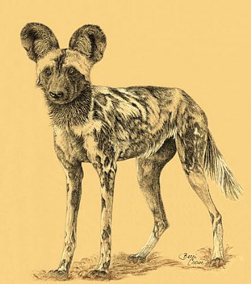 Painted Dog - African Painted Dogs by Becci Crowe