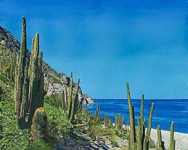 A Sonoran Desert Island - Santa Catalina Island by Martha Thompson