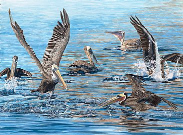The Feast - Brown pelicans and halfbeaks by Martha Thompson