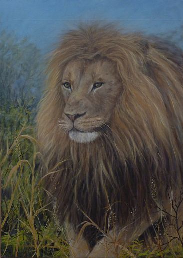 Mr Big - African male lion by Paula Wiegmink