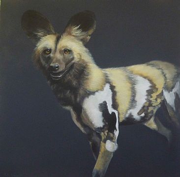 African Wild Dog - African wild dog by Paula Wiegmink