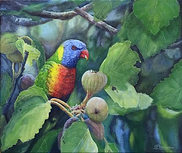 Rainbow fig delight - SOLD - Rainbow Lorikeet by Paula Wiegmink