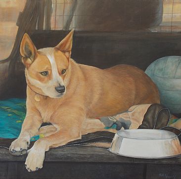 Waiting - Australian Kelpie by Paula Wiegmink