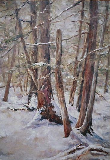 Snowy Woods - Winter landscape by Jan Lutz