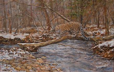 Crossing the Creek - Amur leopard by Jan Lutz