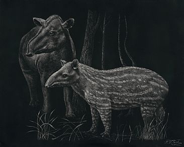 Mother and Child - A Tapir Family Portrait -  by Krish Krishnan