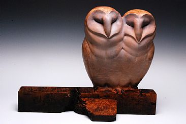 Peace and Quiet - Sleeping Barn Owls by Lynn Branson