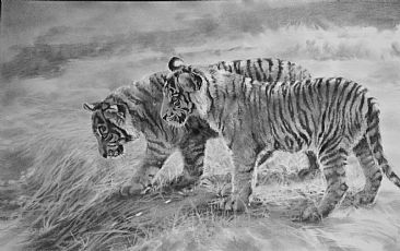 Amur Cubs - Amur Tiger cubs by Amy Larson