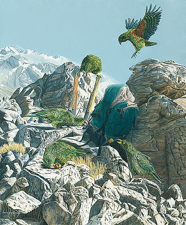 The Circus - New Zealand Kea by Fiona Goulding