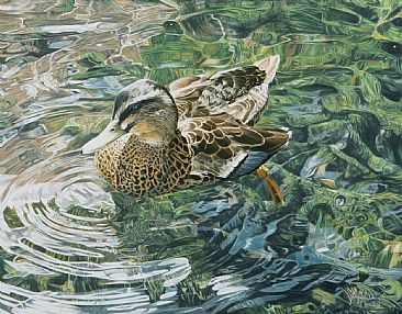 Meandering - Birds - Mallard Duck by Fiona Goulding