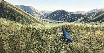 A Perfect World - Takahe in Lindis Pass New Zealand by Fiona Goulding