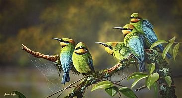 Savouring the Sunlight - Rainbow Bee Eaters by James Hough