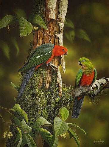 Tangled Hearts - Australian King Parrots by James Hough