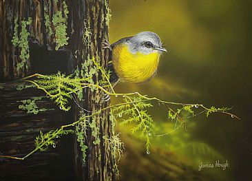 Yellow Dancer - Eastern Yellow Robin by James Hough