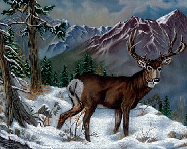 Rocky Mountain Mule Deer - Mule Deer by Lyn Vik