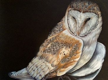 Barn Owl - Barn Owl by Lyn Vik