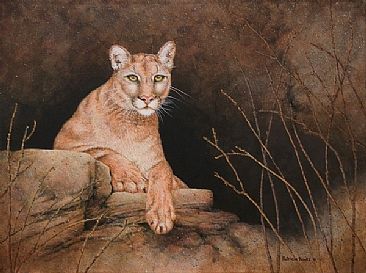 Anticipation - wildlife, cougar by Patricia Banks