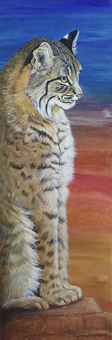 Red Rocks - Bobcat by Linda Harrison-Parsons