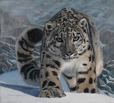 Targeted Approach - Snow Leopard by Caroline Brooks