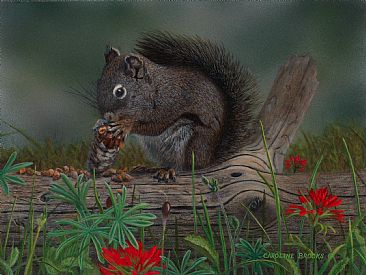 Forest Forager - Squirrel by Caroline Brooks