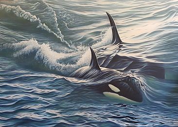 Dual Pursuit - Orca by Jerry Ragg