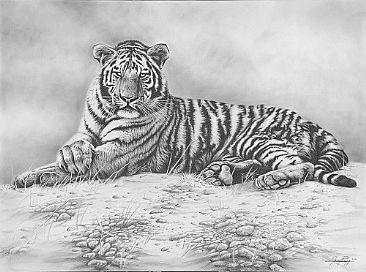 At Peace - Tiger by Jerry Ragg