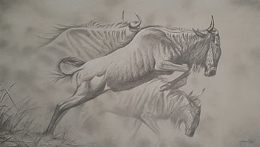 Driven - Wildebeest by Jerry Ragg