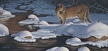Interrupted Silence - Mountain Lion, Cougar by Jerry Ragg