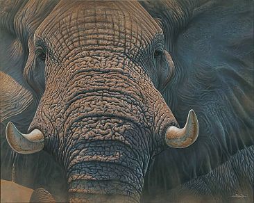 The Patriarch - Elephant by Jerry Ragg