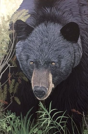 Approaching the Clearing - Painting of a black bear by Ken  Nash