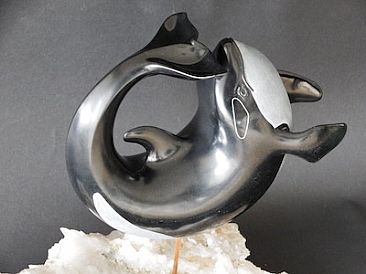 Back Flip Orca - Orca (Killer Whale) by Tony Mayo