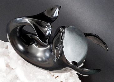 Back Flip Orca - Orca (Killer Whale) by Tony Mayo