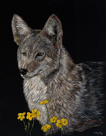 Wiley Coyote - Coyote by Marcia Barclay