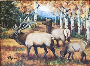 Elk Family - An Elk family in the Aspens by Maria Ryan