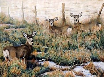 WINTER in the SAGEBRUSH FLATS - Mule Deer by Maria Ryan