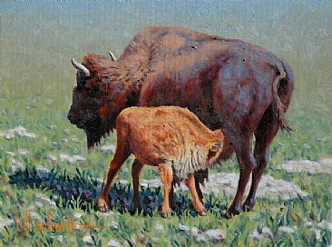 Got Milk - Buffalo Cow and Calf by Bill Scheidt