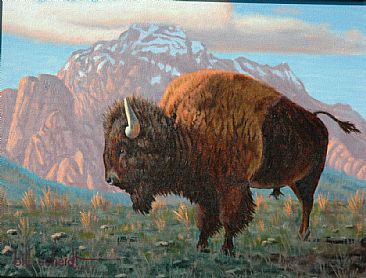 Legacy of the Land - Bison by Bill Scheidt