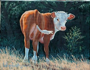 Next Generation - Hereford bull calf by Bill Scheidt