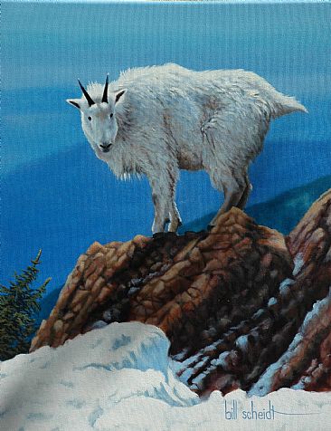 Rocky Mountain High - Rocky Mountain Goat by Bill Scheidt