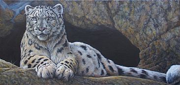 Lair Among the Clouds - Snow Leopard by Kay Polito