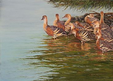 Late Afternoon - Plumed Whistling Ducks by Candy McManiman