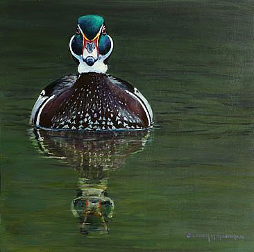 Coming Right at You - wood duck by Candy McManiman