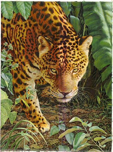 Mayan walker - Jaguar by Eleazar Saenz