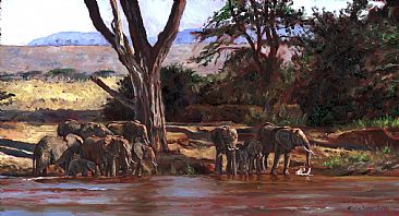 By the River - elephants by Linda Besse