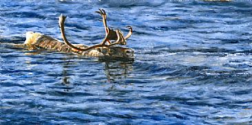 Crossing - Caribou by Linda Besse