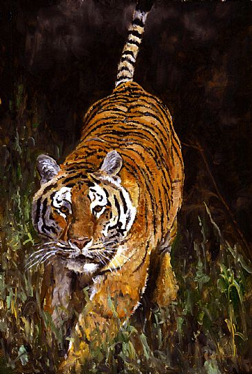 Determination - Bengal Tiger by Linda Besse