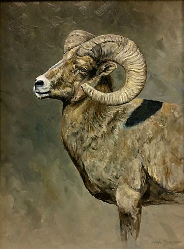 The Gold Collection - Bighorn -  by Linda Besse