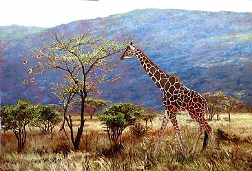 His High-ness - Giraffe by Linda Besse