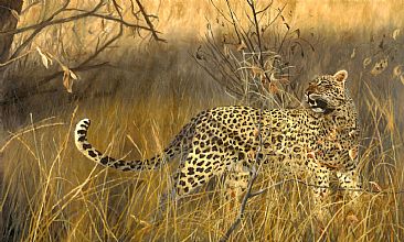 Intruder Alert (SOLD) - leopard by Linda Besse
